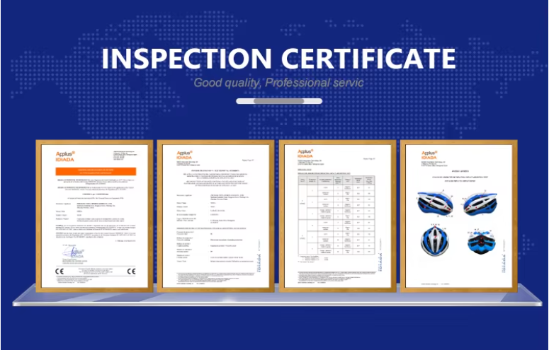 c67d76d1-404f-4194-9a51-caaacd046621